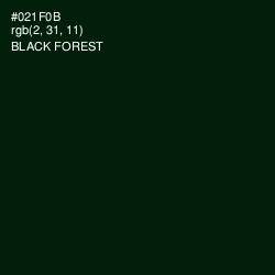 #021F0B - Black Forest Color Image