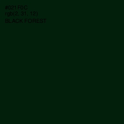 #021F0C - Black Forest Color Image