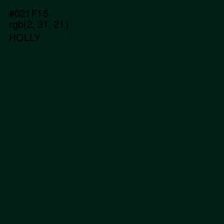 #021F15 - Holly Color Image