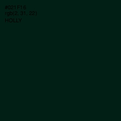 #021F16 - Holly Color Image