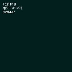 #021F1B - Swamp Color Image