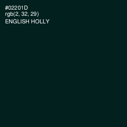 #02201D - English Holly Color Image