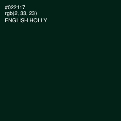 #022117 - English Holly Color Image