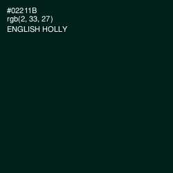 #02211B - English Holly Color Image