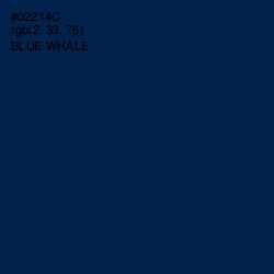 #02214C - Blue Whale Color Image