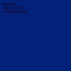 #022178 - Catalina Blue Color Image