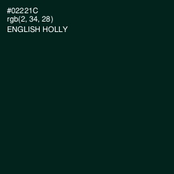 #02221C - English Holly Color Image