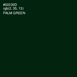 #02230D - Palm Green Color Image