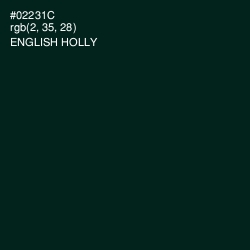 #02231C - English Holly Color Image