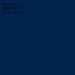 #02234D - Blue Whale Color Image