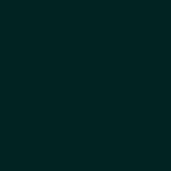 #022420 - Burnham Color Image