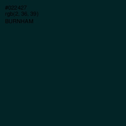 #022427 - Burnham Color Image