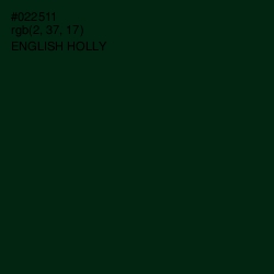 #022511 - English Holly Color Image