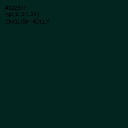 #02251F - English Holly Color Image