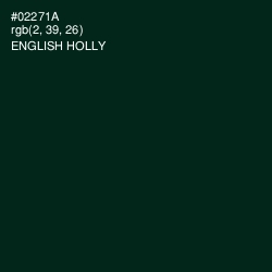 #02271A - English Holly Color Image