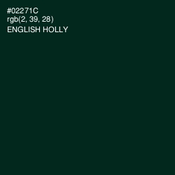 #02271C - English Holly Color Image