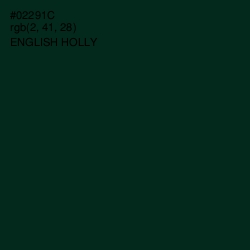 #02291C - English Holly Color Image