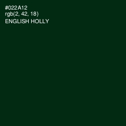 #022A12 - English Holly Color Image