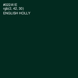 #022A1E - English Holly Color Image