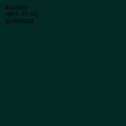 #022A23 - Burnham Color Image