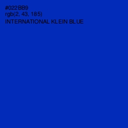 #022BB9 - International Klein Blue Color Image