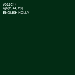 #022C14 - English Holly Color Image