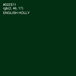 #022E11 - English Holly Color Image