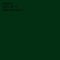 #022E11 - English Holly Color Image