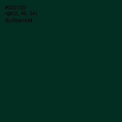 #022E22 - Burnham Color Image