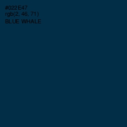 #022E47 - Blue Whale Color Image