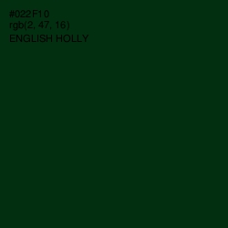 #022F10 - English Holly Color Image