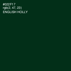 #022F17 - English Holly Color Image
