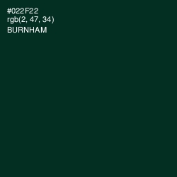 #022F22 - Burnham Color Image