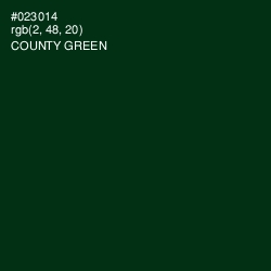 #023014 - County Green Color Image