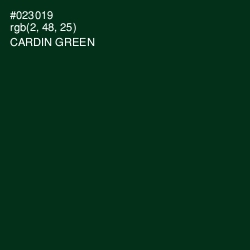 #023019 - Cardin Green Color Image