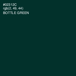 #02312C - Bottle Green Color Image