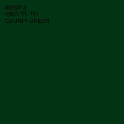 #023313 - County Green Color Image