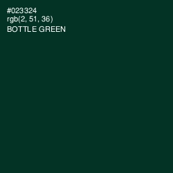 #023324 - Bottle Green Color Image