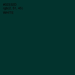 #02332D - Bottle Green Color Image