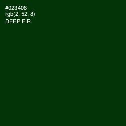 #023408 - Deep Fir Color Image