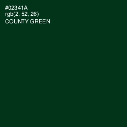 #02341A - County Green Color Image