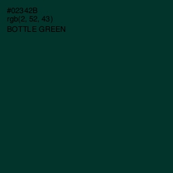 #02342B - Bottle Green Color Image