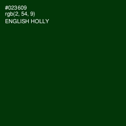 #023609 - English Holly Color Image