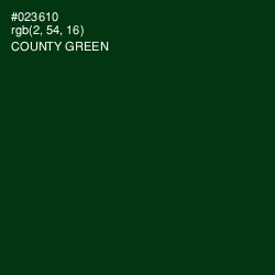 #023610 - County Green Color Image