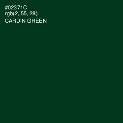 #02371C - Cardin Green Color Image