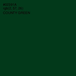 #02391A - County Green Color Image