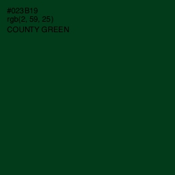 #023B19 - County Green Color Image