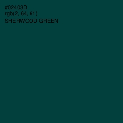 #02403D - Sherwood Green Color Image