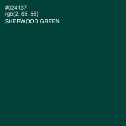 #024137 - Sherwood Green Color Image