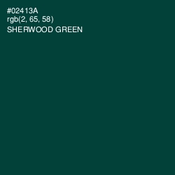 #02413A - Sherwood Green Color Image